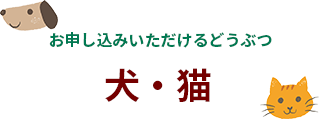 お申込みいただけるどうぶつ 犬猫